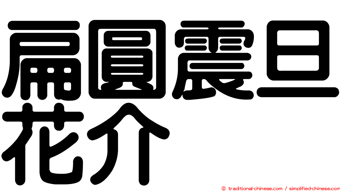 扁圓震旦花介
