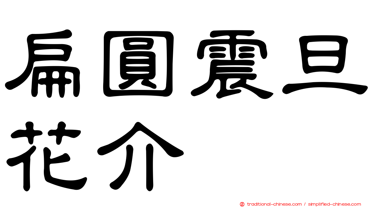 扁圓震旦花介