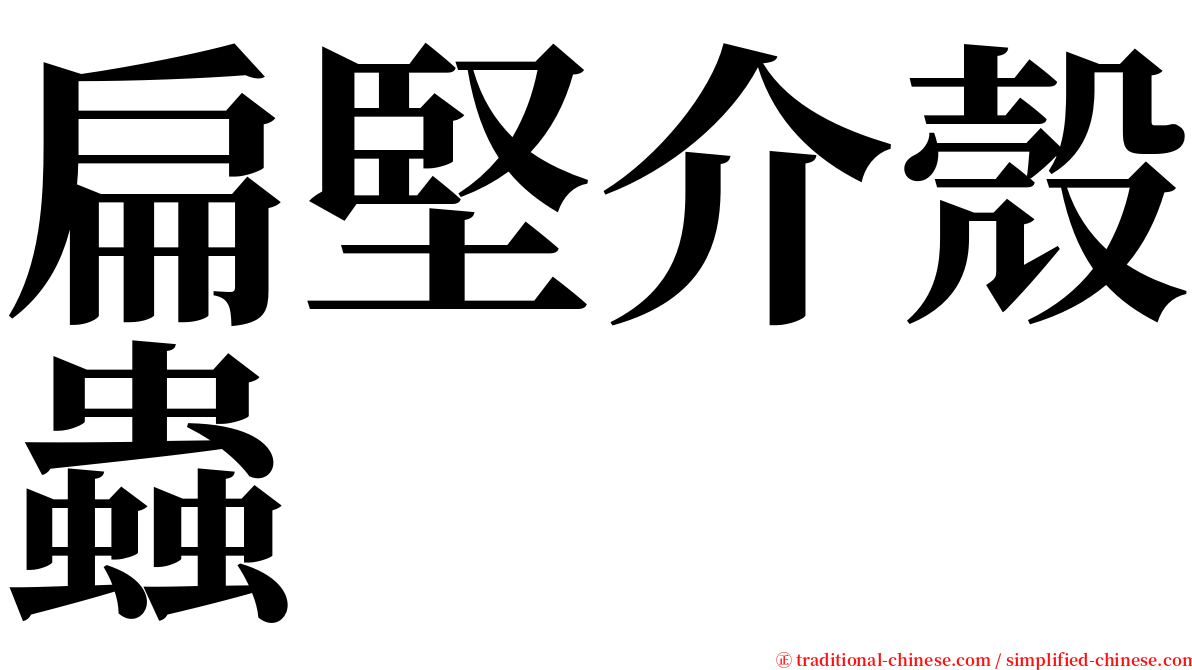 扁堅介殼蟲 serif font