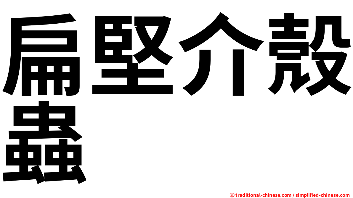 扁堅介殼蟲