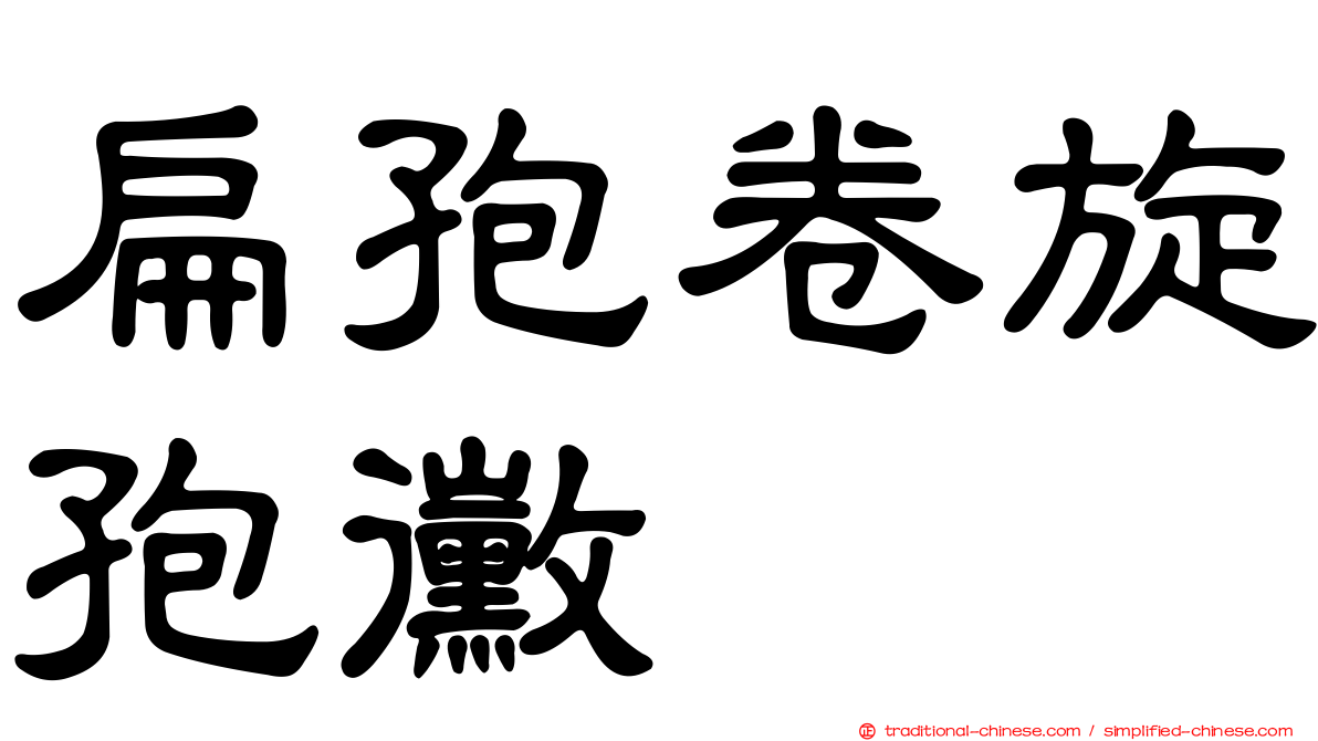 扁孢卷旋孢黴