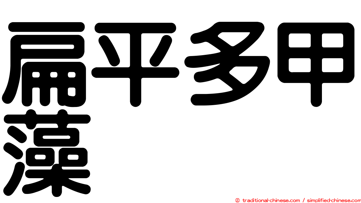 扁平多甲藻