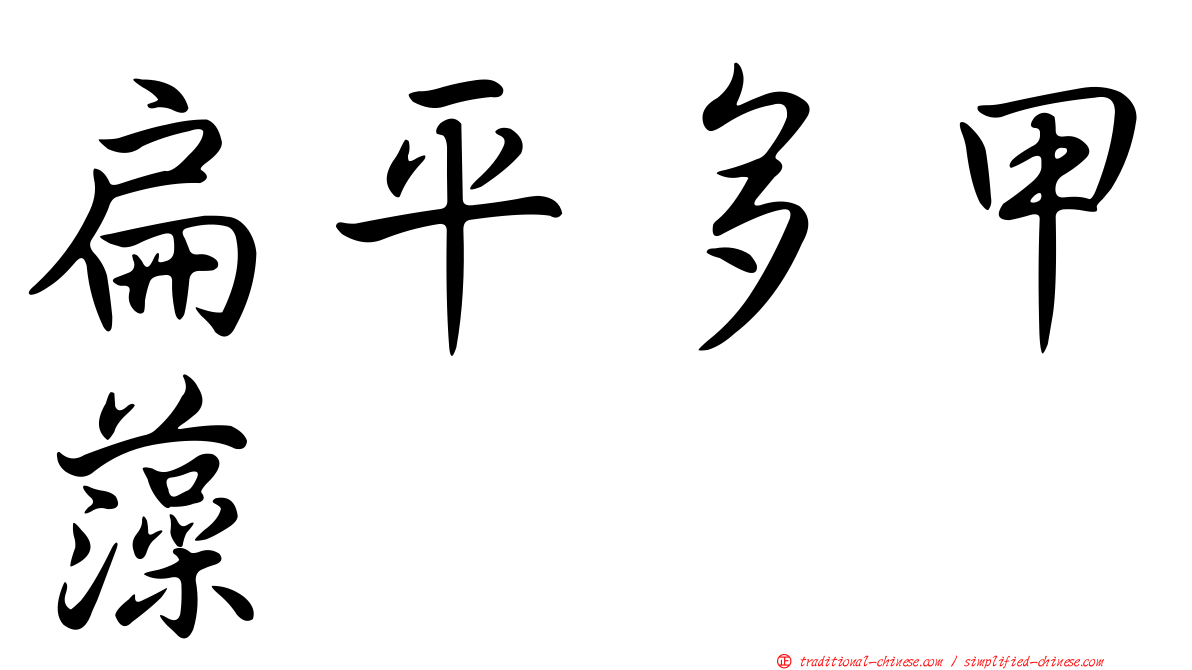 扁平多甲藻