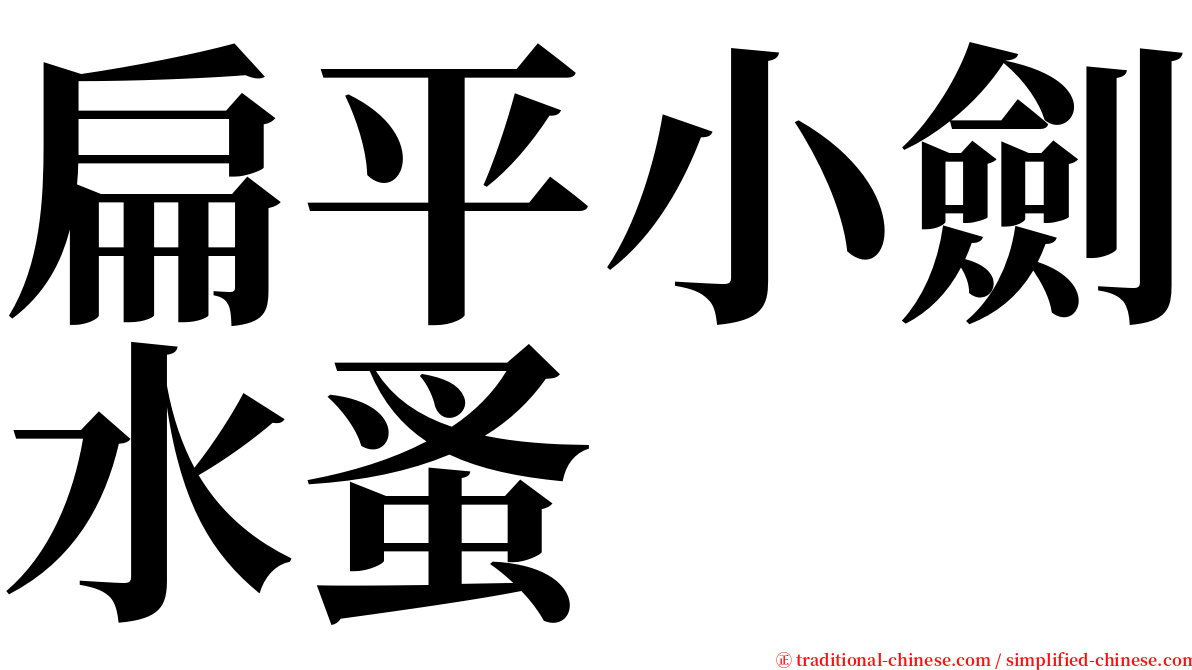 扁平小劍水蚤 serif font