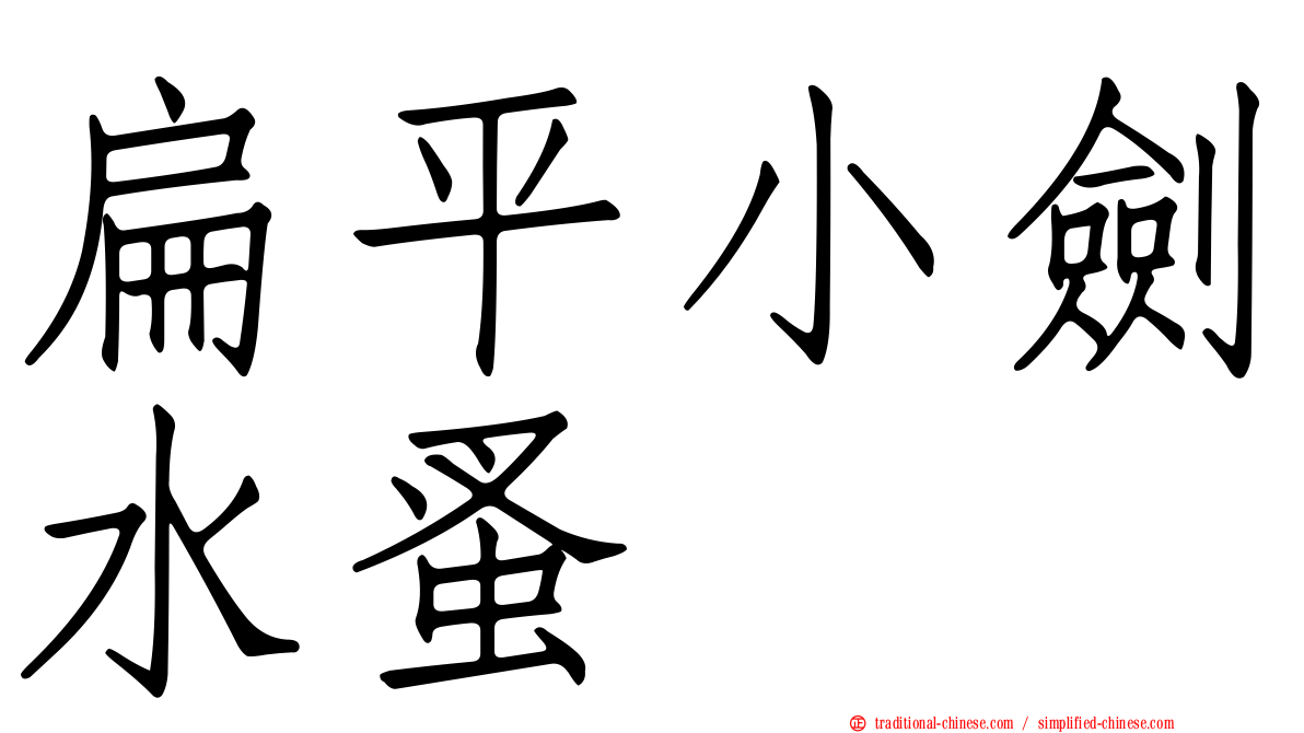 扁平小劍水蚤
