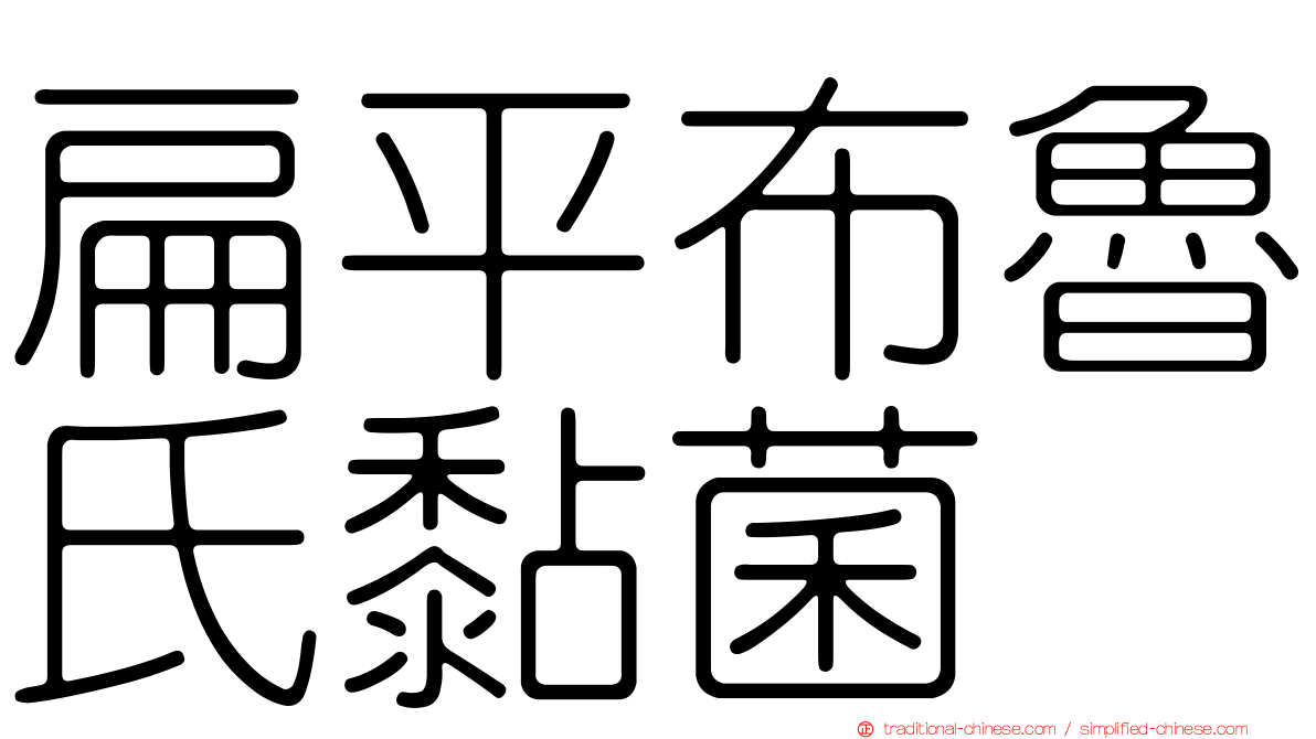 扁平布魯氏黏菌