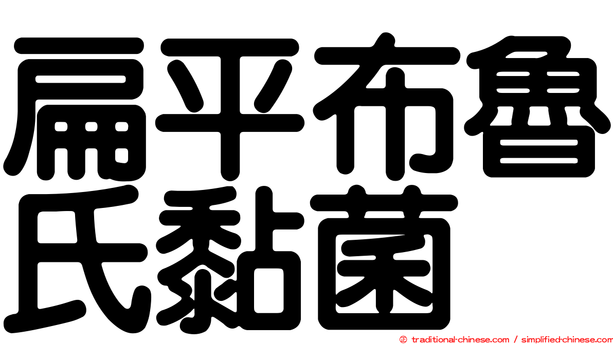 扁平布魯氏黏菌