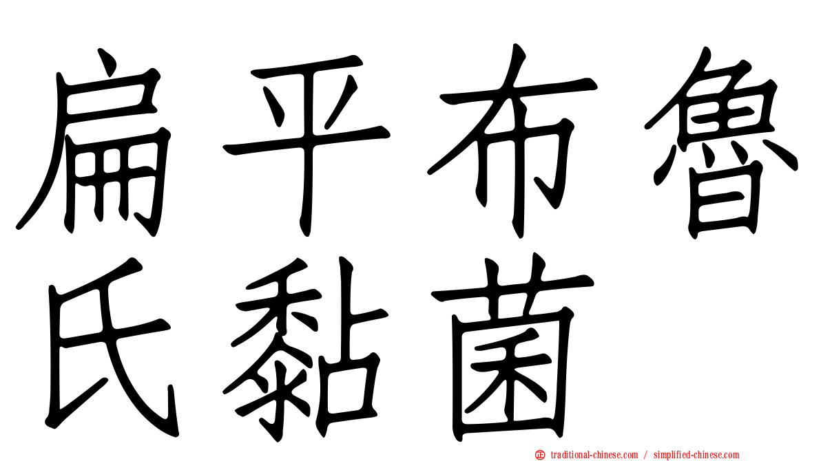 扁平布魯氏黏菌
