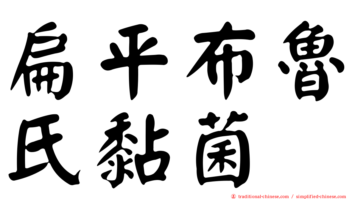 扁平布魯氏黏菌