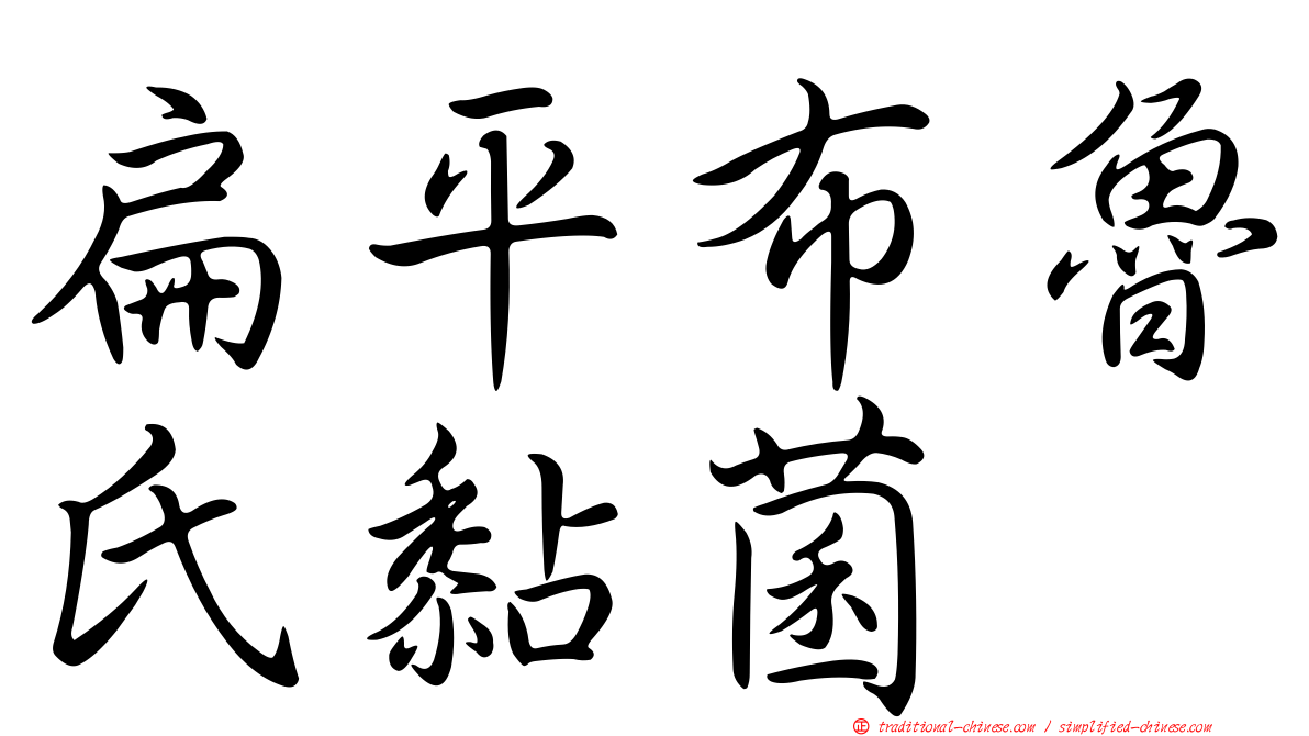 扁平布魯氏黏菌