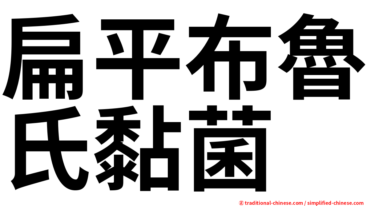 扁平布魯氏黏菌