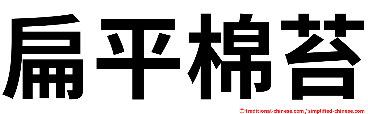 扁平棉苔