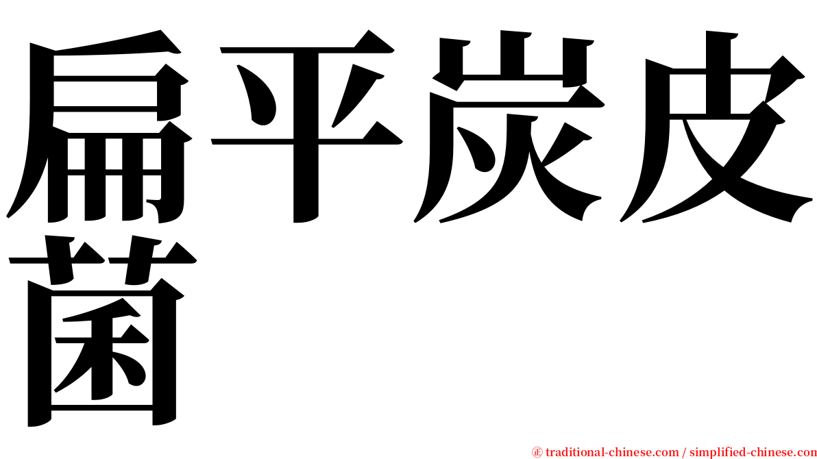 扁平炭皮菌 serif font