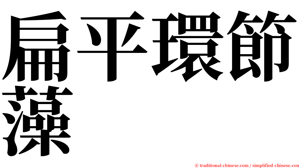 扁平環節藻 serif font