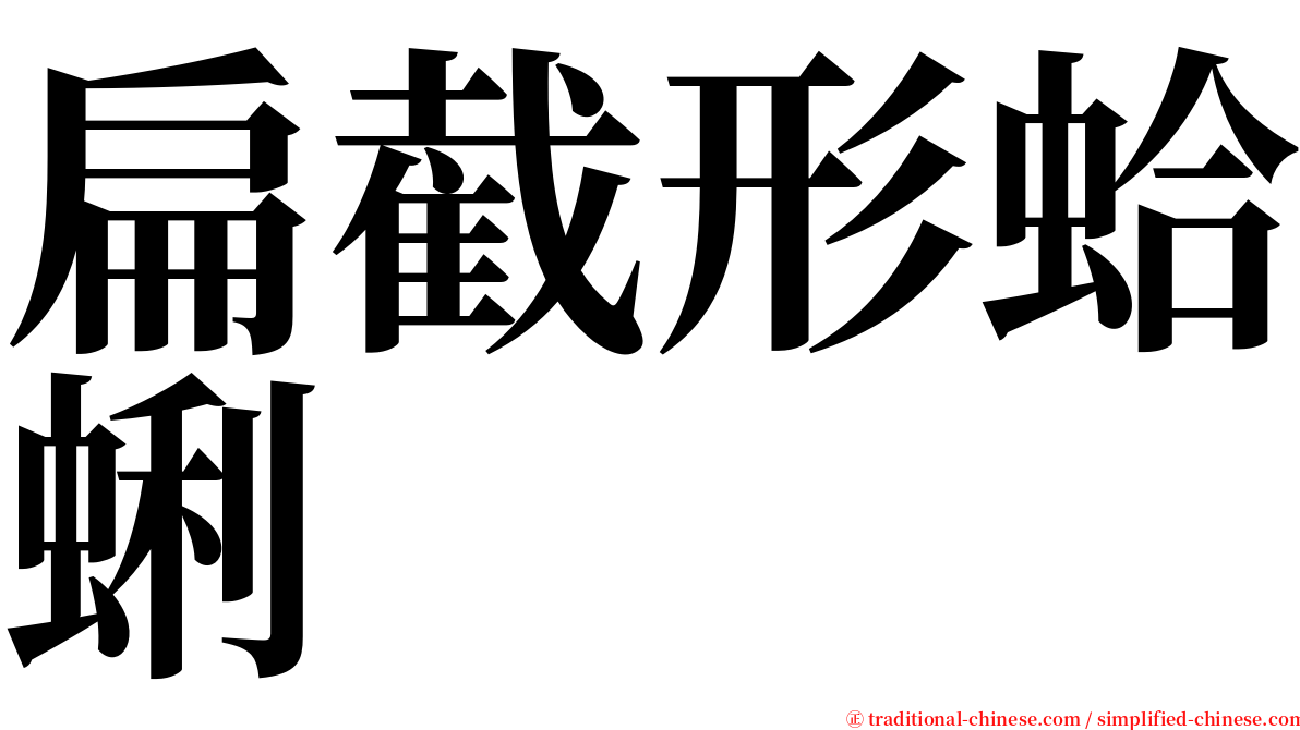 扁截形蛤蜊 serif font