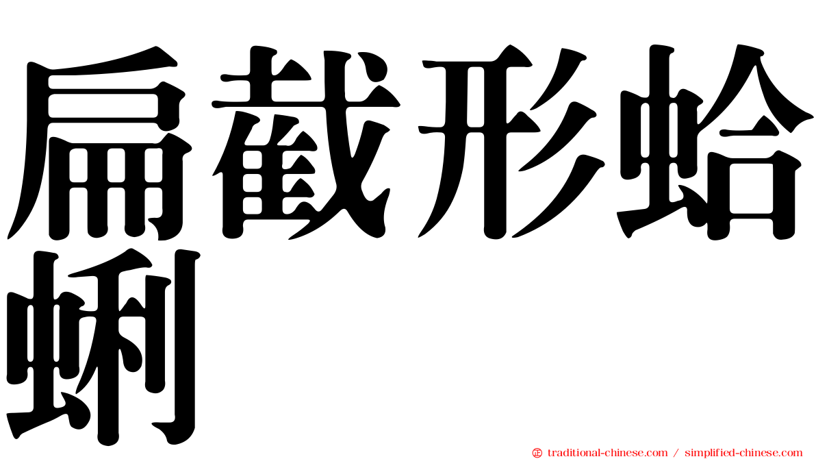 扁截形蛤蜊