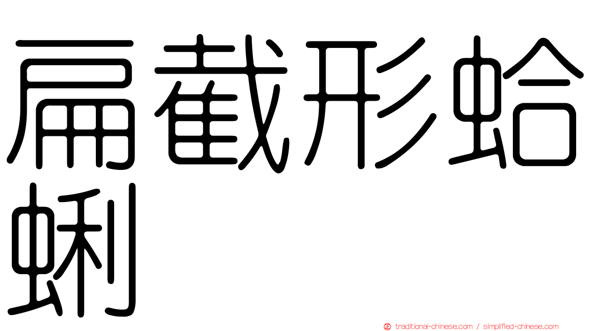 扁截形蛤蜊