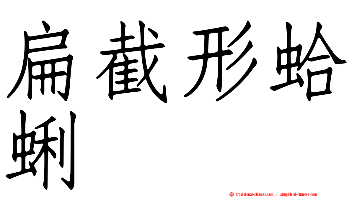 扁截形蛤蜊