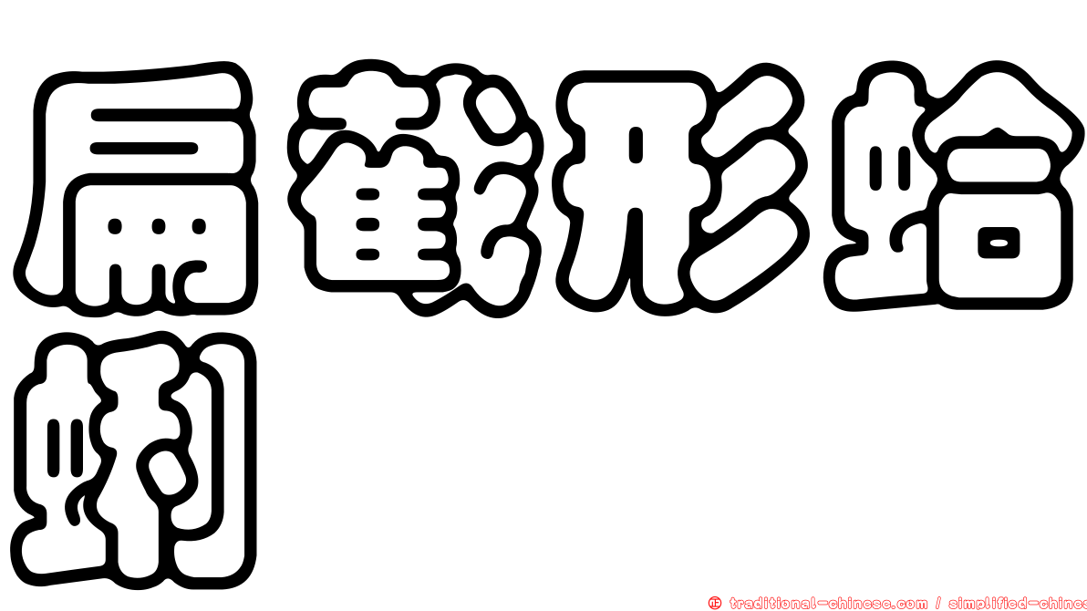 扁截形蛤蜊