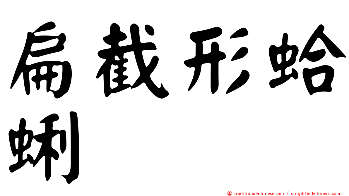扁截形蛤蜊