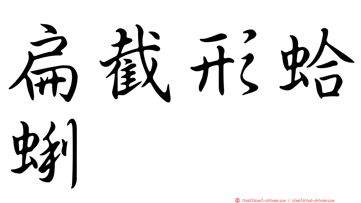 扁截形蛤蜊