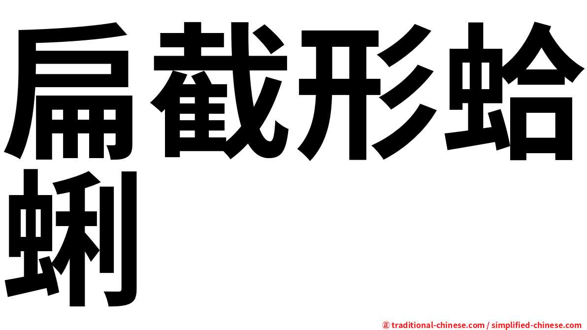 扁截形蛤蜊