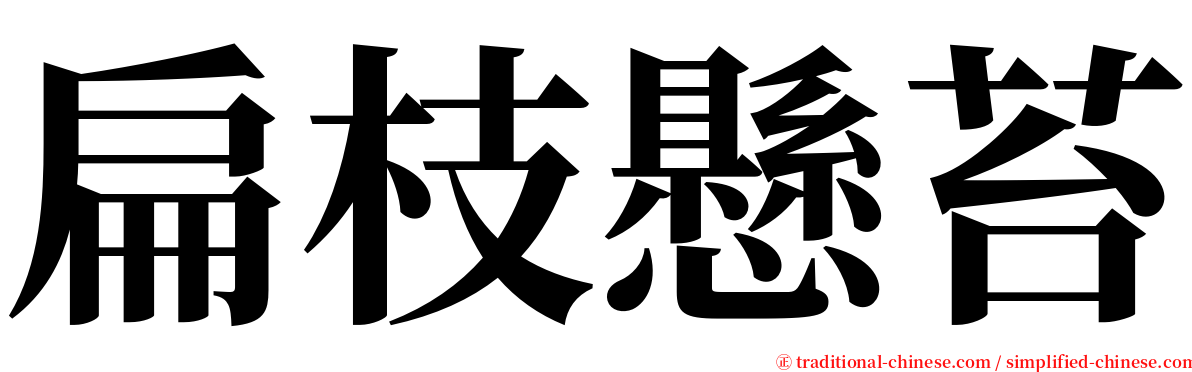 扁枝懸苔 serif font