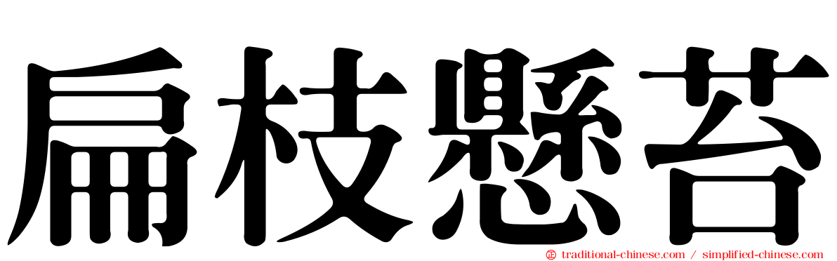 扁枝懸苔