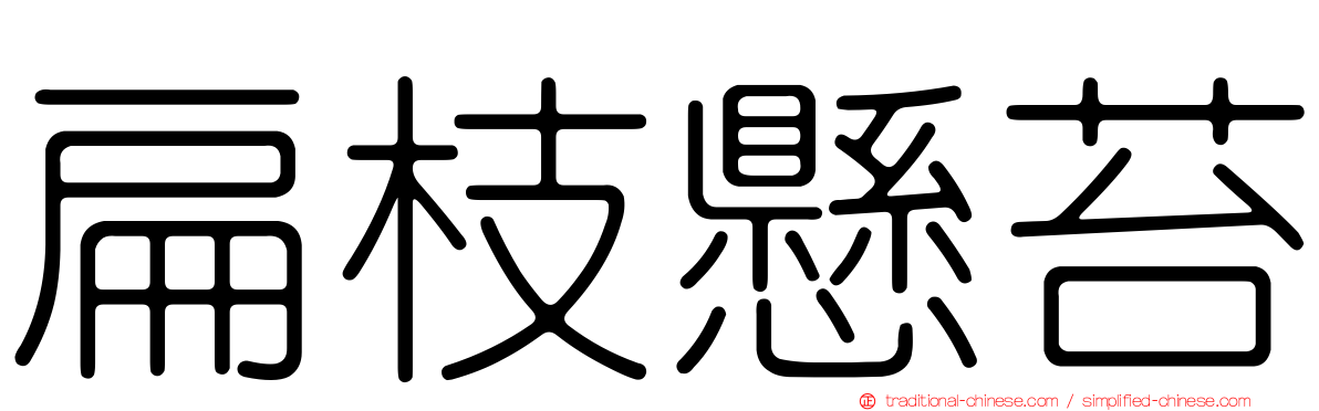 扁枝懸苔
