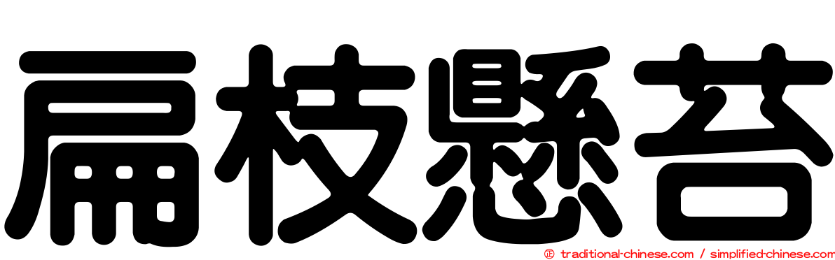 扁枝懸苔
