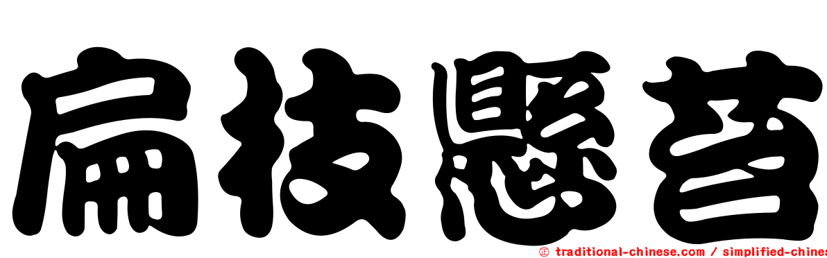 扁枝懸苔
