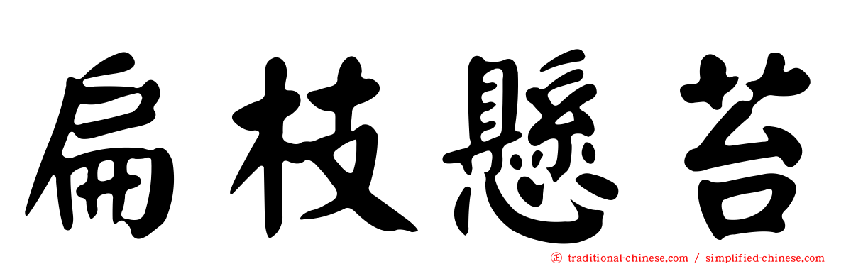 扁枝懸苔