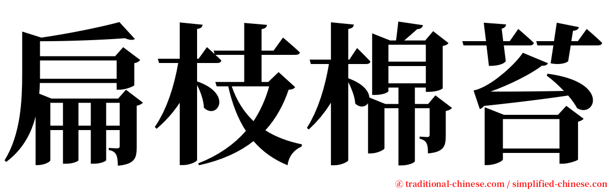 扁枝棉苔 serif font