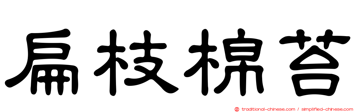 扁枝棉苔