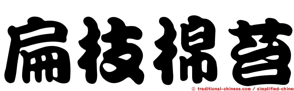 扁枝棉苔