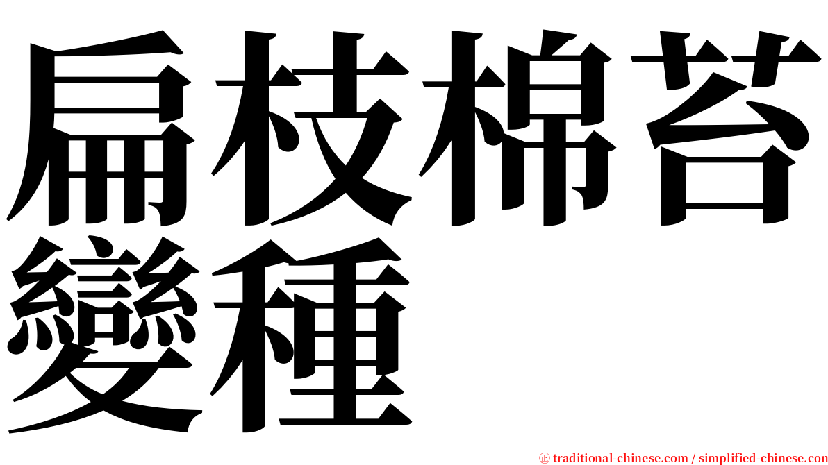 扁枝棉苔變種 serif font