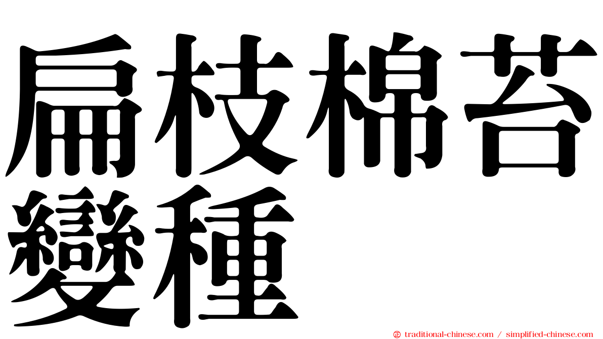 扁枝棉苔變種