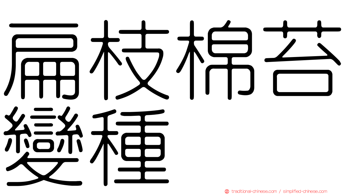 扁枝棉苔變種