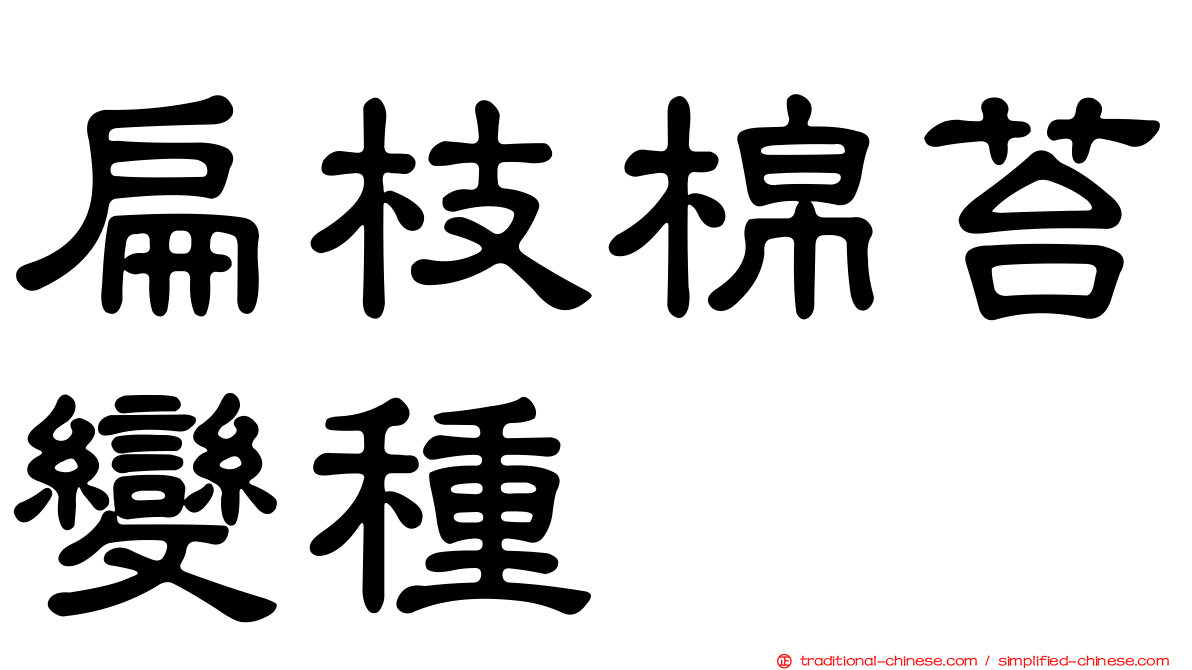 扁枝棉苔變種
