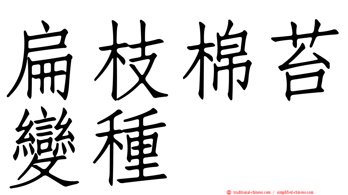 扁枝棉苔變種