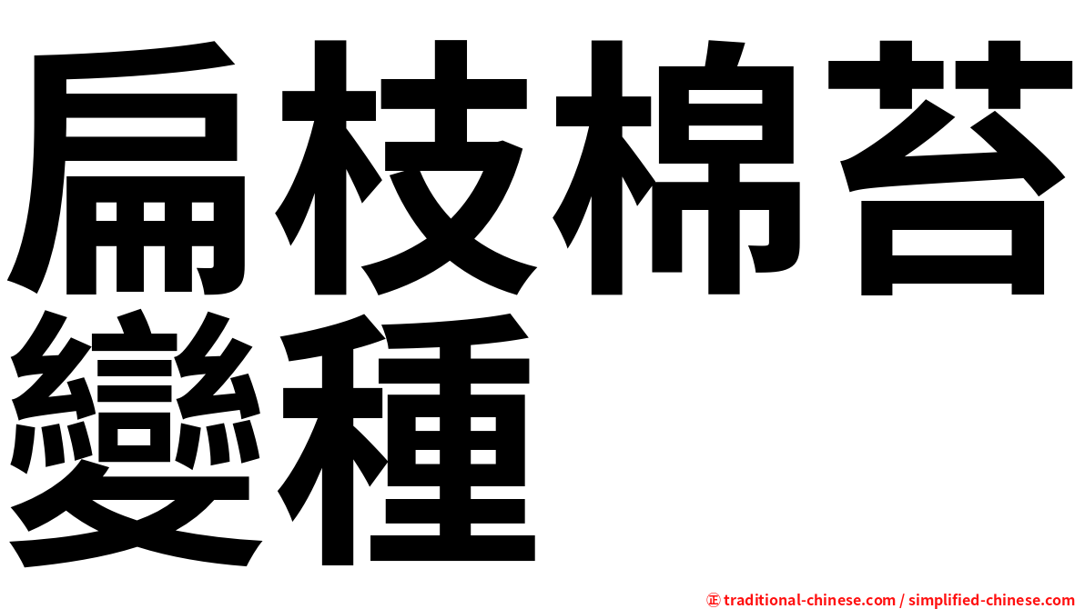 扁枝棉苔變種
