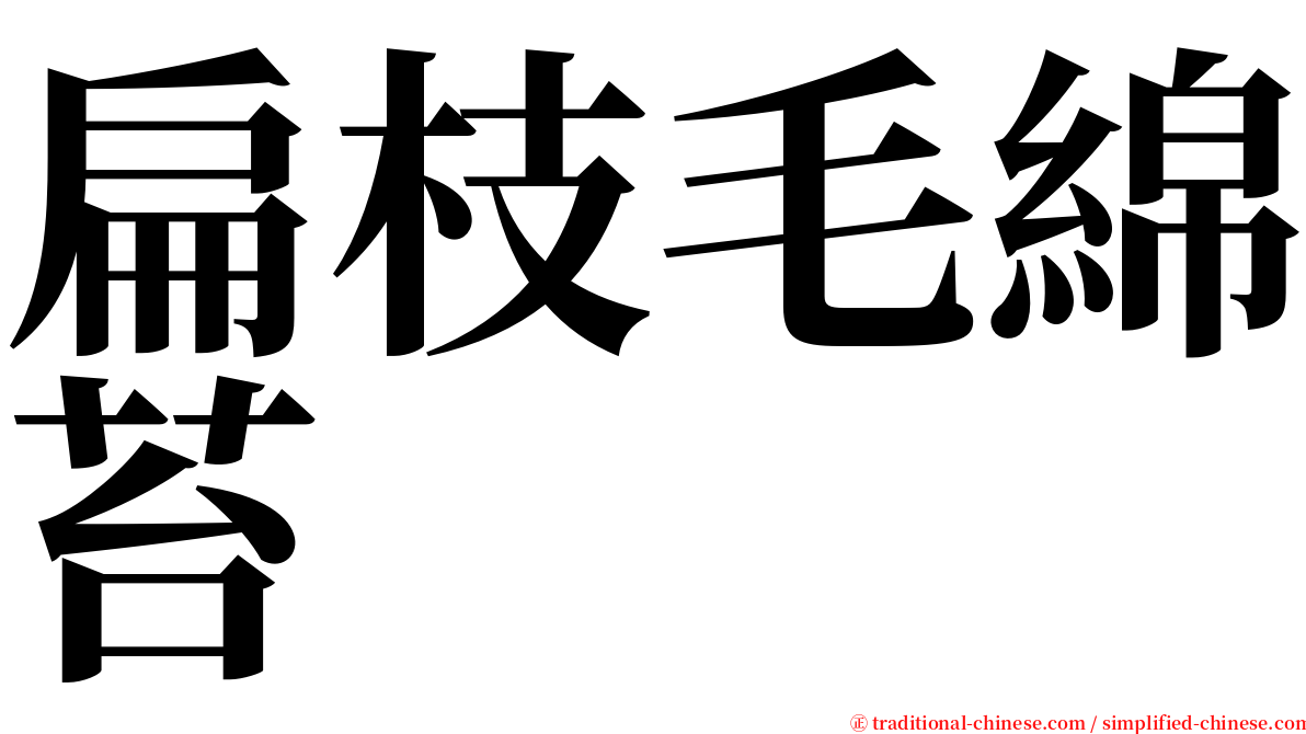 扁枝毛綿苔 serif font