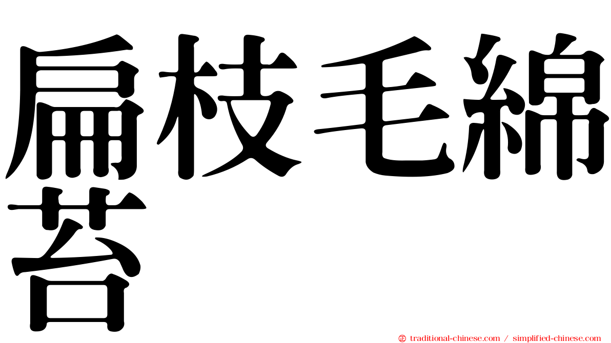 扁枝毛綿苔