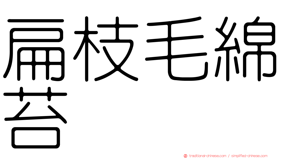 扁枝毛綿苔
