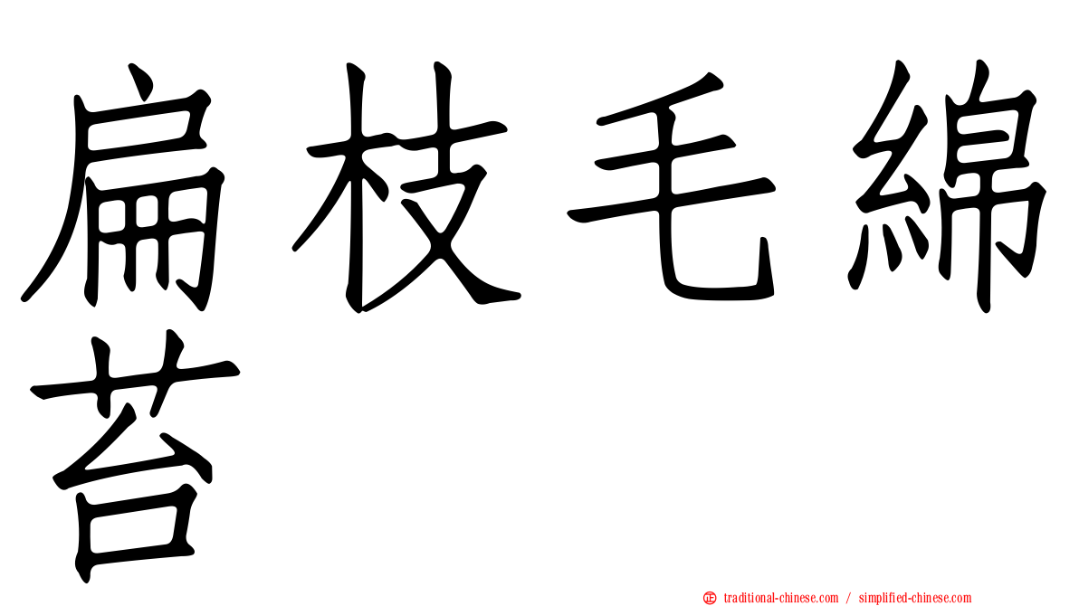 扁枝毛綿苔