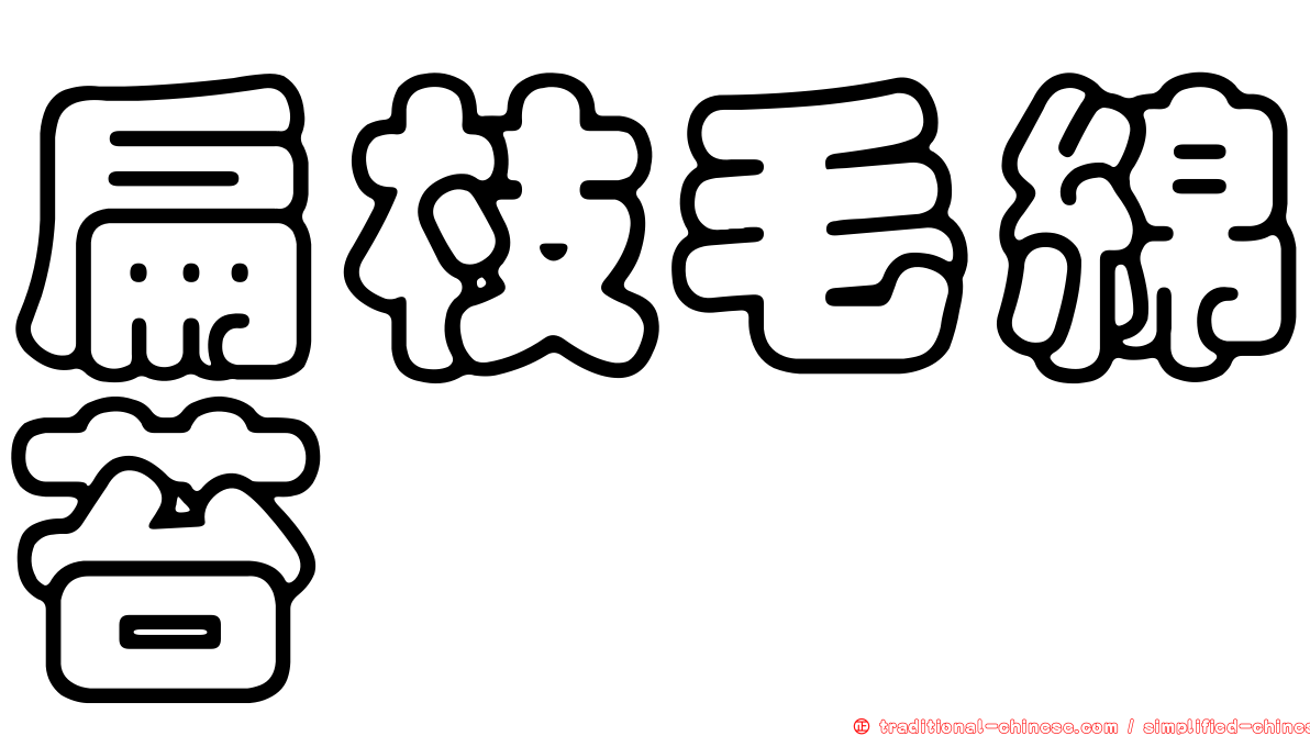 扁枝毛綿苔