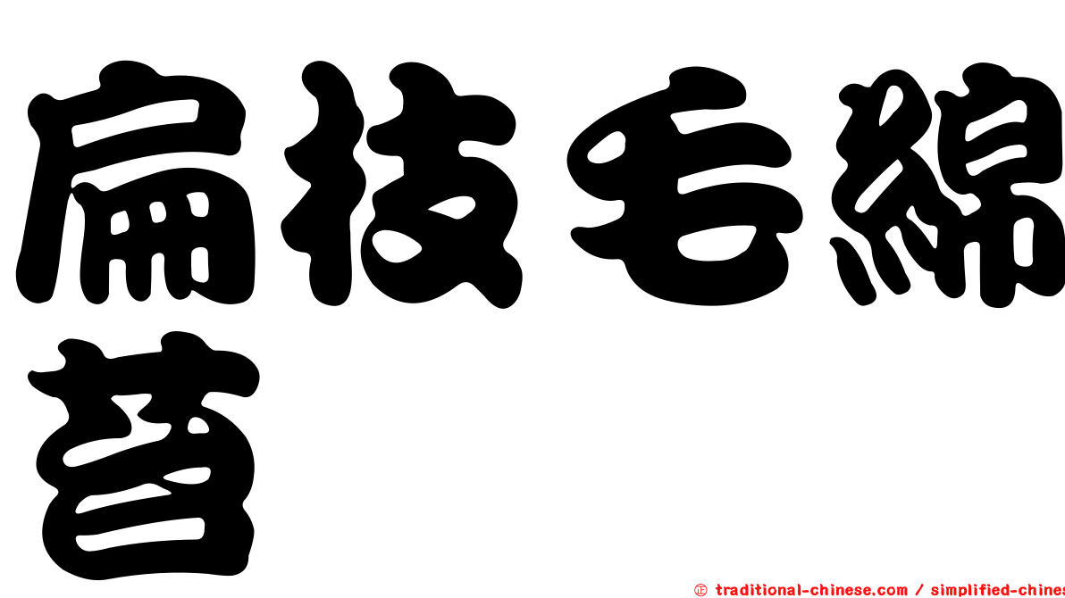 扁枝毛綿苔