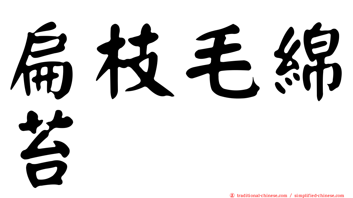 扁枝毛綿苔
