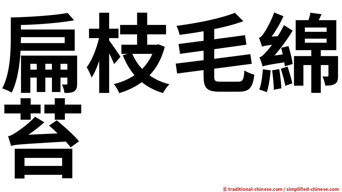 扁枝毛綿苔