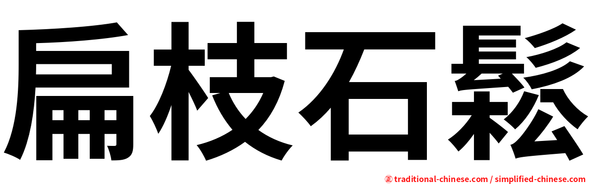 扁枝石鬆